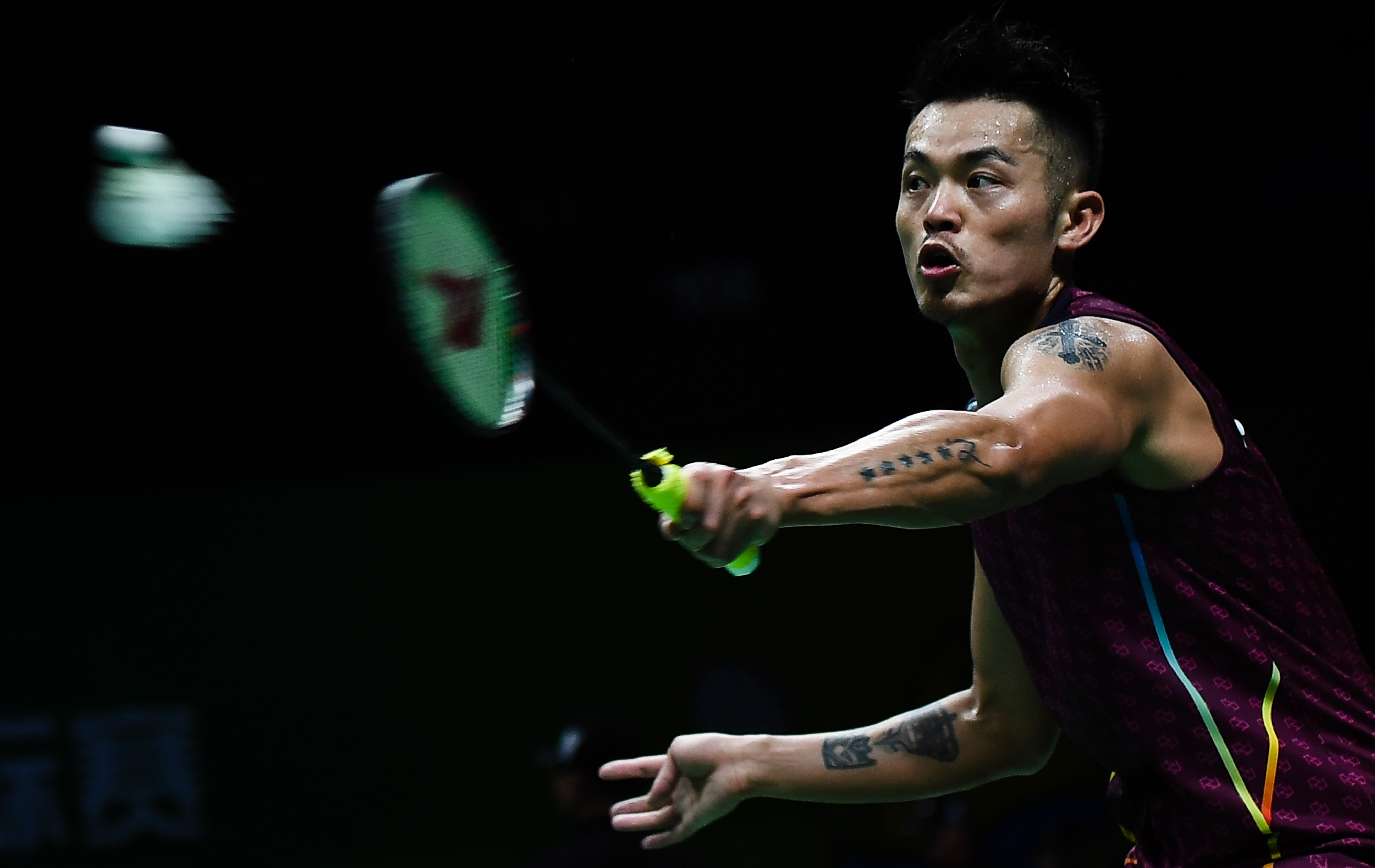 尤文决定花 尤文决定花