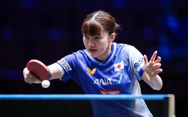 球场维护 球场维护